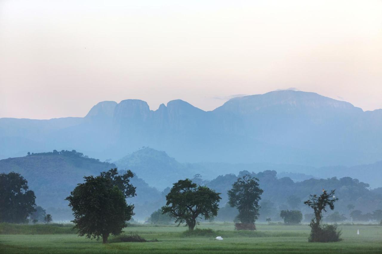 Farcry Nature Boutique Resort Matale Esterno foto